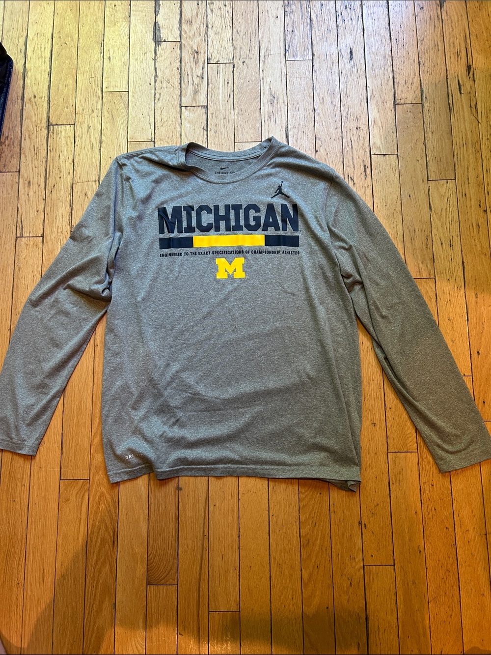 Nike Michigan shirt
